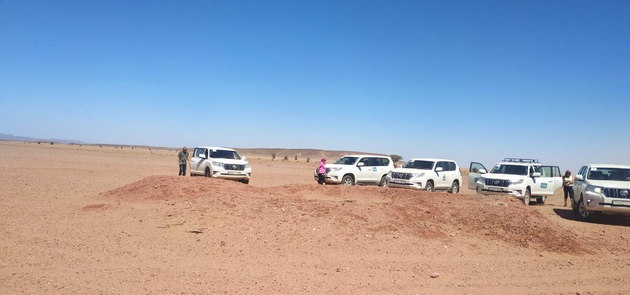 Sahara Desert with a Private Tour Guide