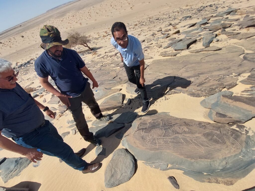 Rock art and historical sites near Smara in the Sahara