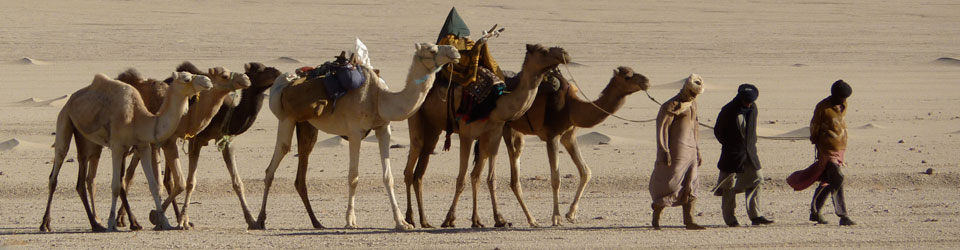 Sahara Desert
with Morocco Private Driver