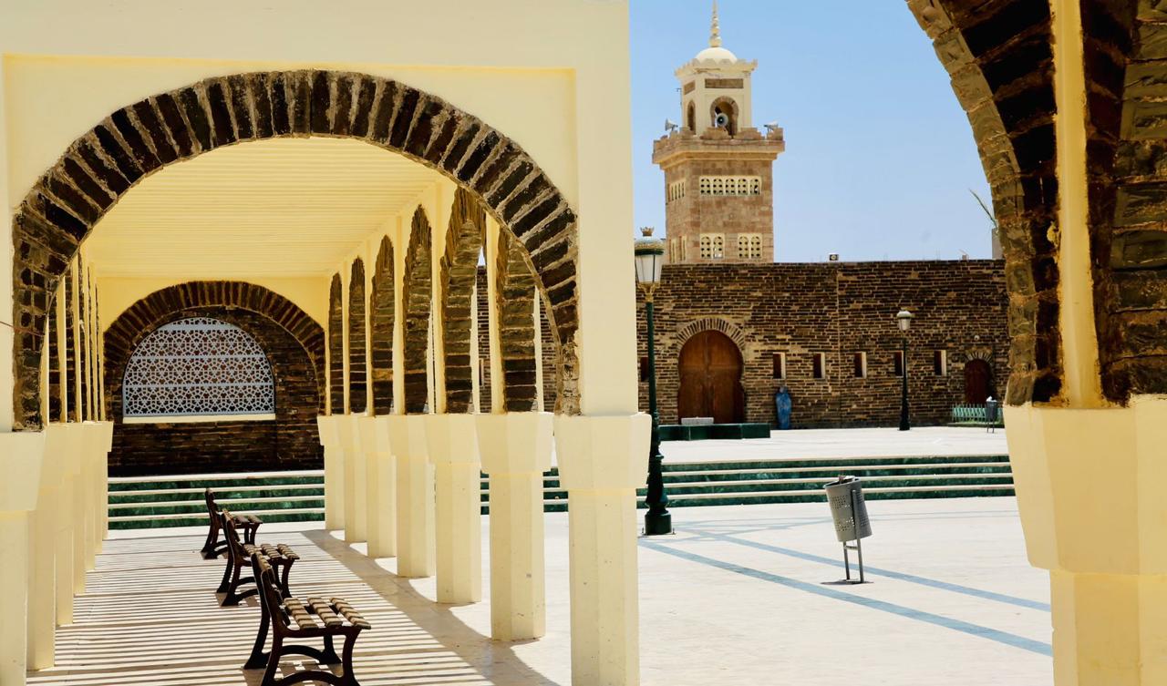 From Casablanca to Smara: A Rare Saharan Experience